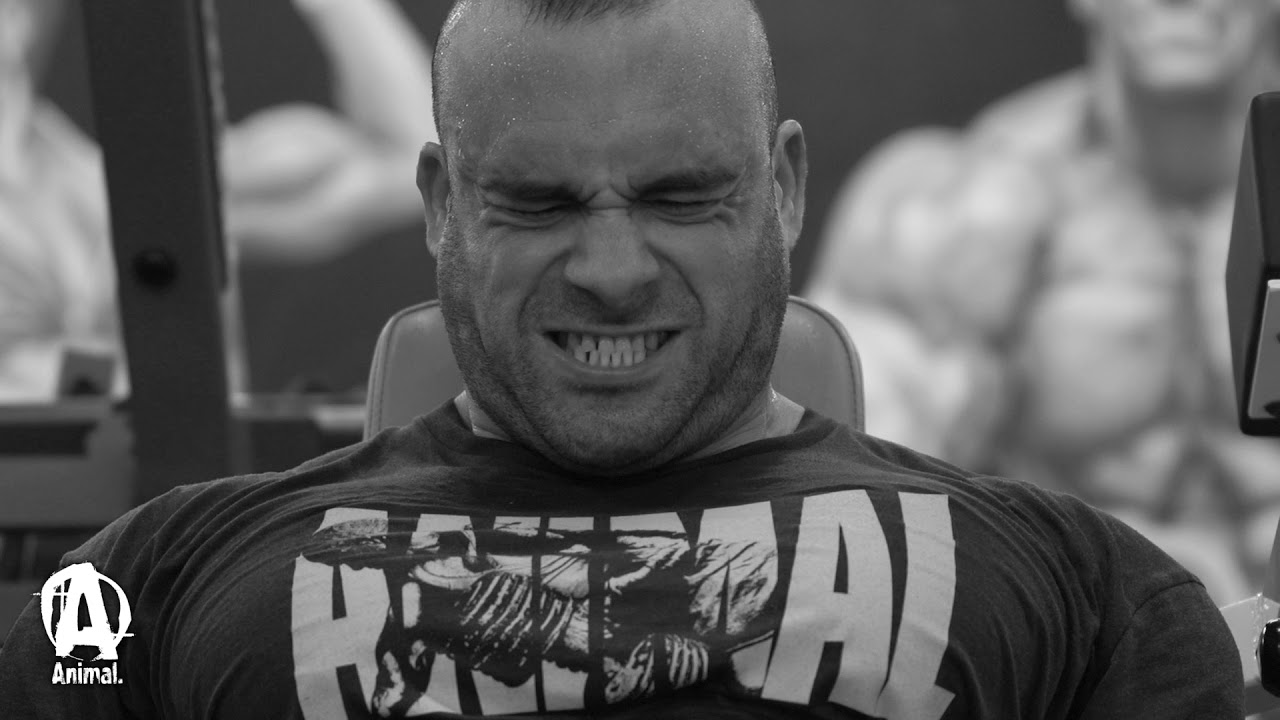 Decimating Back with Frank 