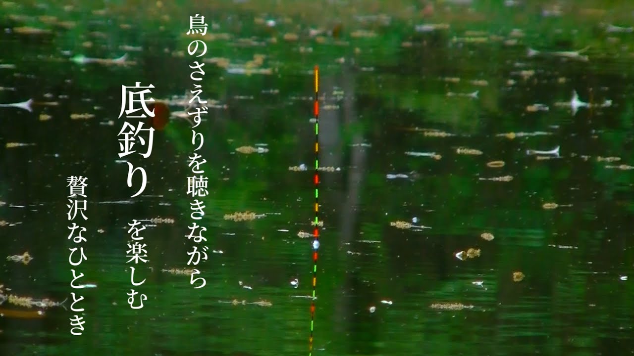鳥のさえずりを聴きながら、野池で底釣りを楽しむ。【ASMR】