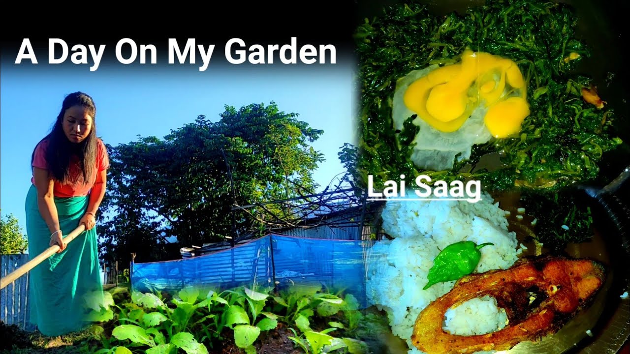 A Day On My Garden | Small Potato | Ful Aloo Gaibai | Bari Ni First Lai Mwigong
