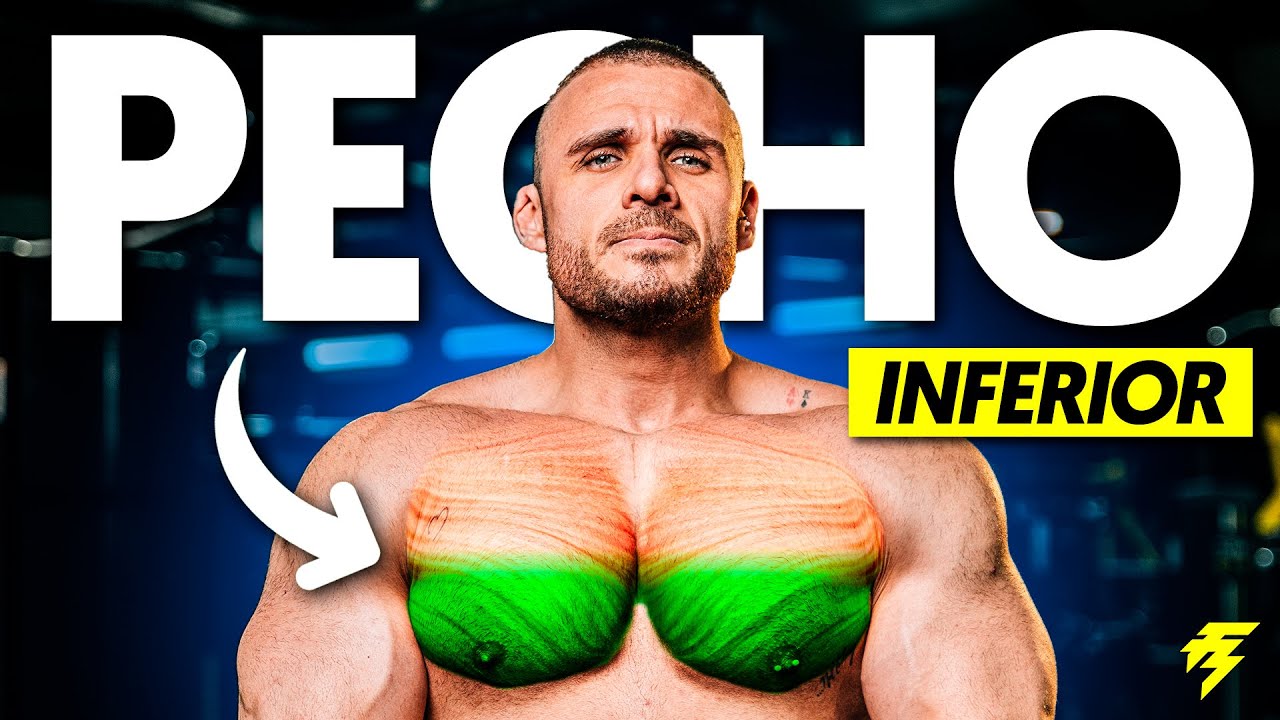 MEJORES EJERCICIOS para PECTORAL INFERIOR (Seg&uacute;n la Ciencia)