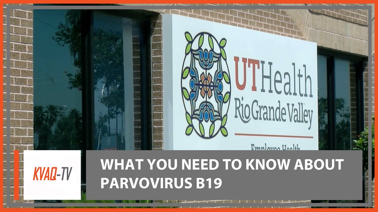 What You Need to Know About Parvovirus B19