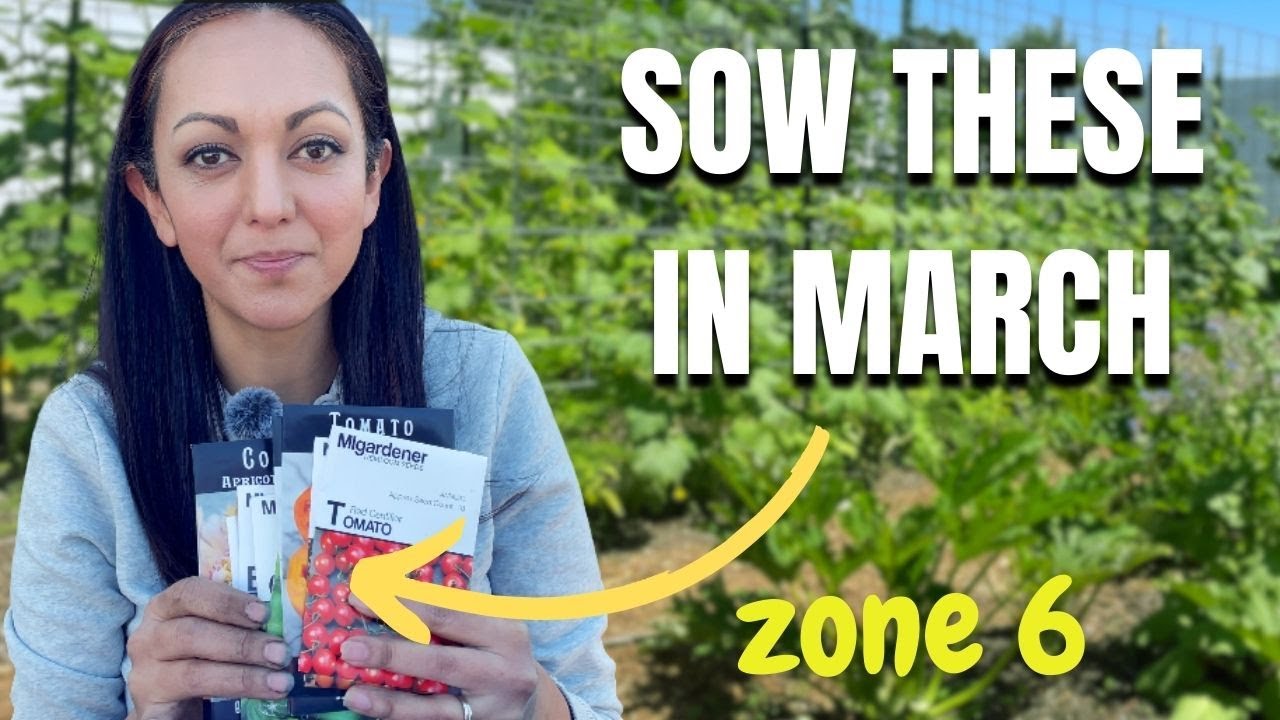 Seeds to Sow in March | Zone 6 MI #sustainableliving