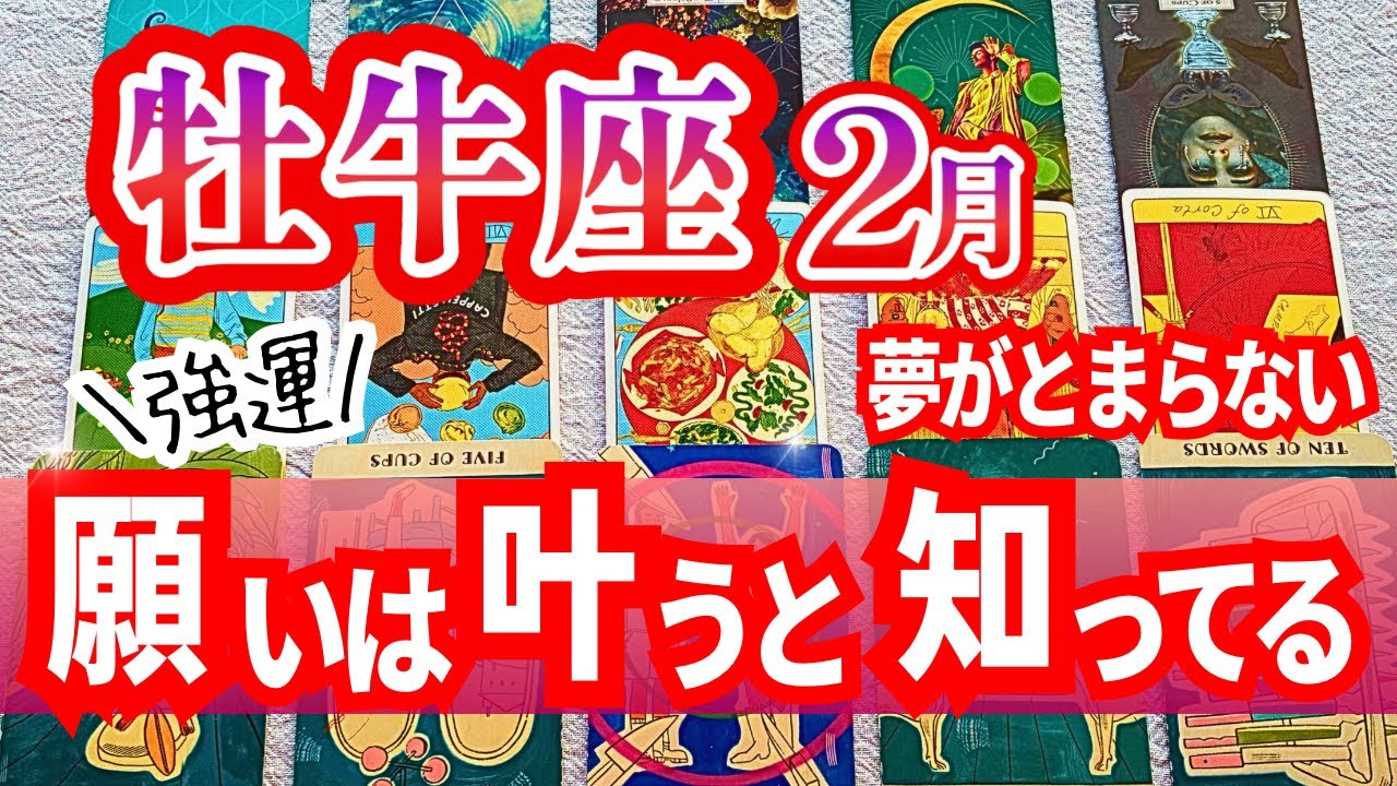 [強運]牡牛座♉️2月運勢｜呪縛から解放されて夢の世界に飛び出す｜タロットリーディング｜全体運・仕事運・人間関係