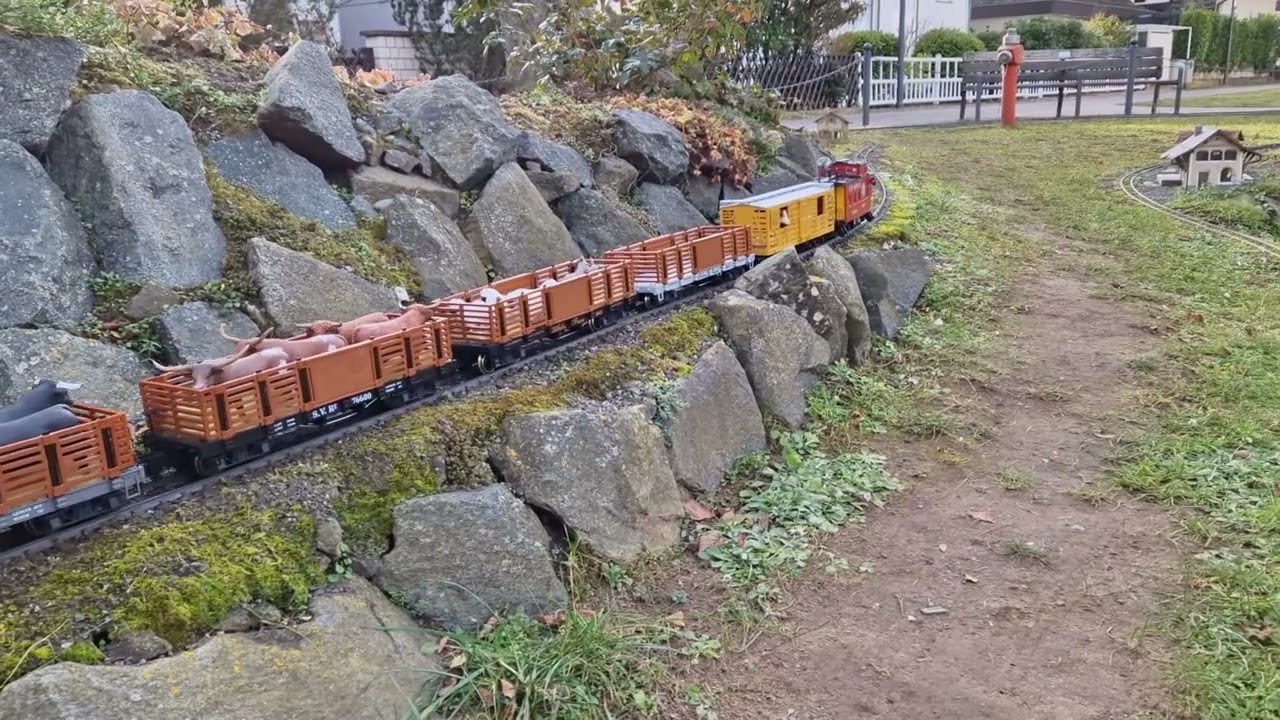 Viehzug mit C19 und K28