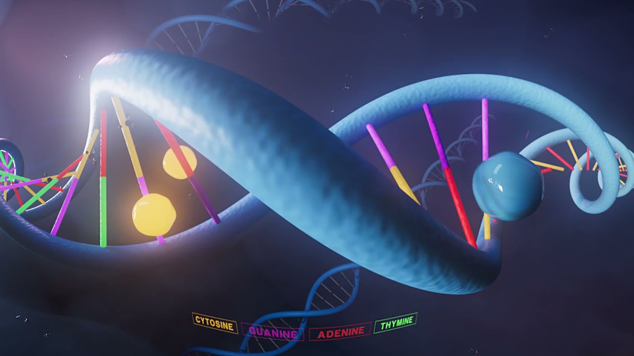 A closer look to the aging process | Virtual Reality Video