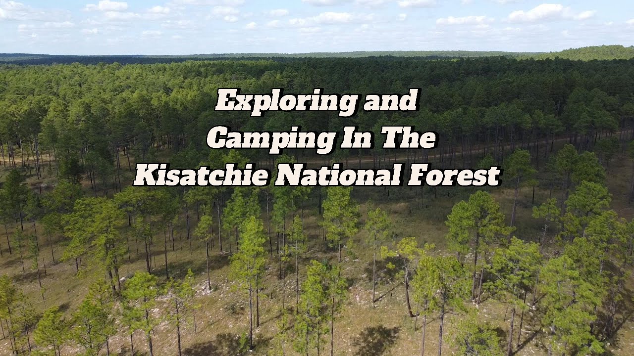 Exploring and solo tent camping in the Kisatchie National Forest.