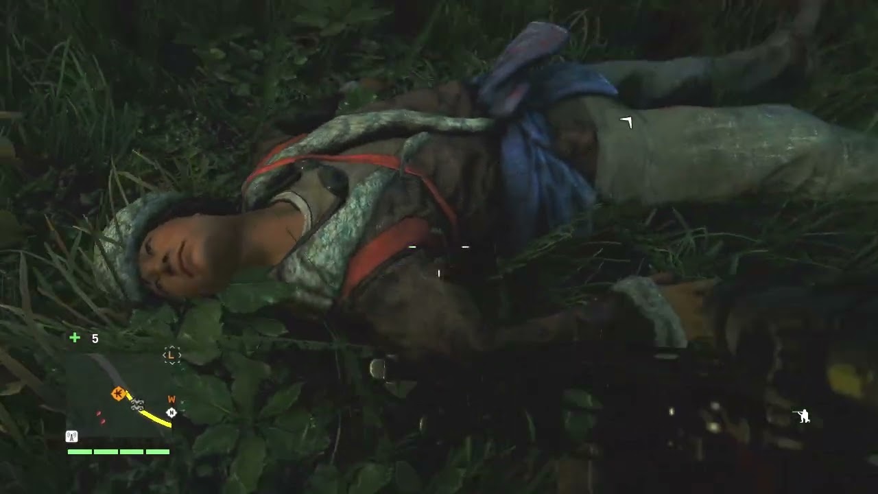Far Cry4/Naptime