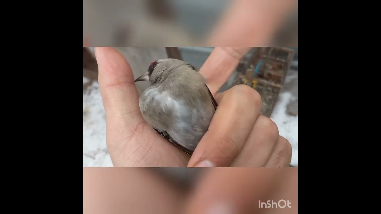 супер улов