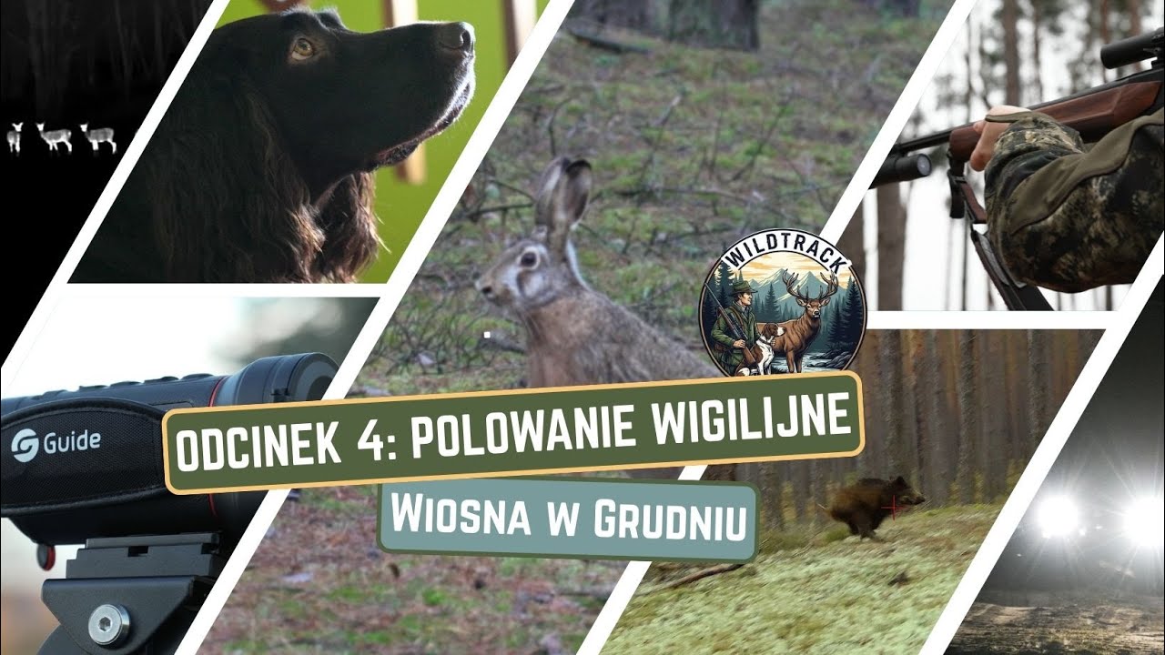 Odcinek 4: Polowanie Wigilijne - Wiosna w Grudniu || Episode 4: Christmas Hunt - Spring in December