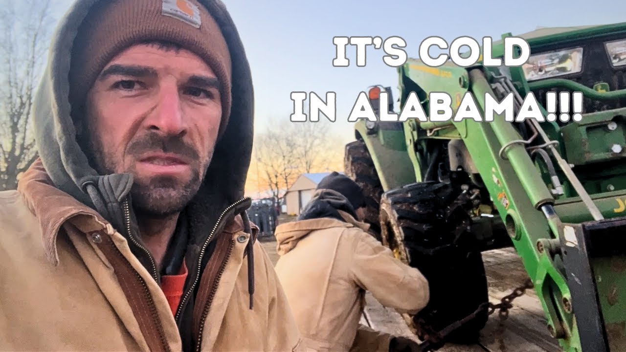 It's Cold In Alabama!!!