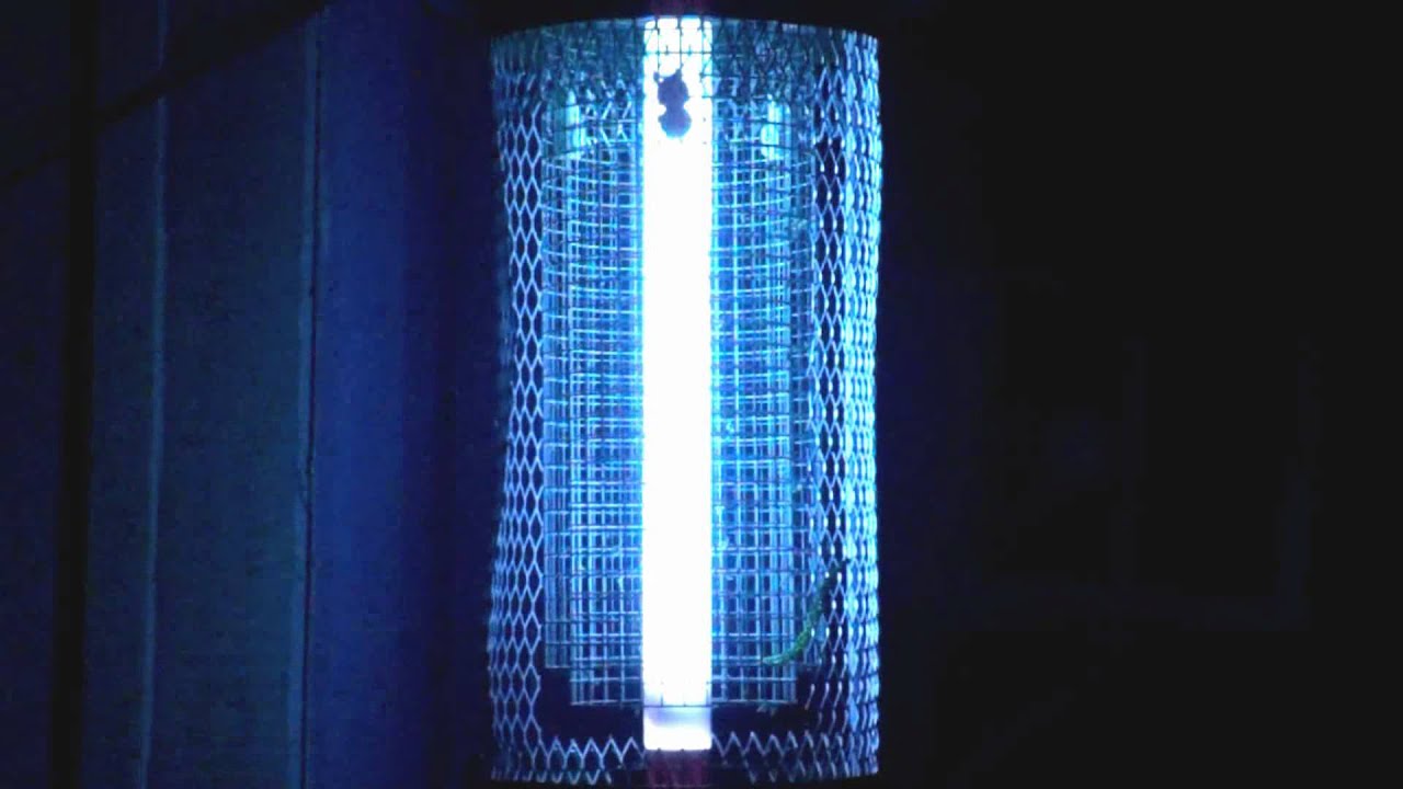 15min of Bug Zapper Fun 2 - 5000 Volt Modified BugZapper
