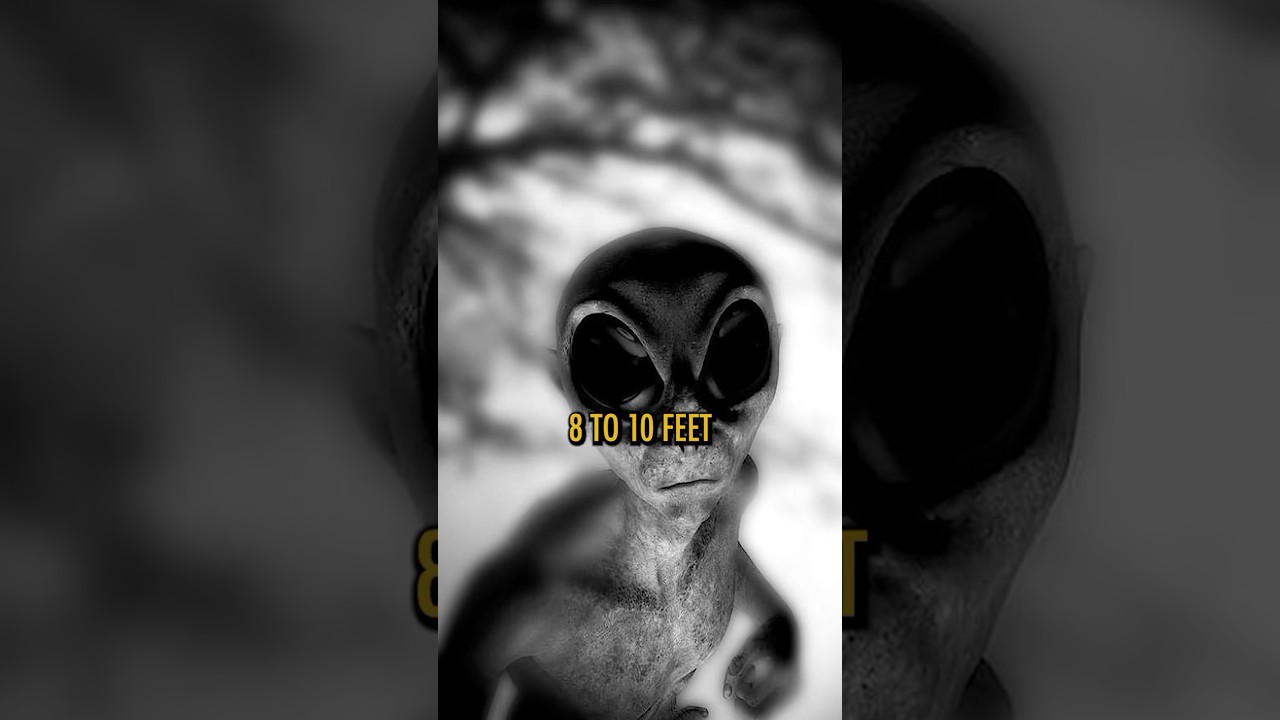 ОБНОВЛЕНИЕ в 43-м выпуске о НЛО в Лас-Вегасе! #ninjasarebutterflies #podcast #sundaycool #comedy