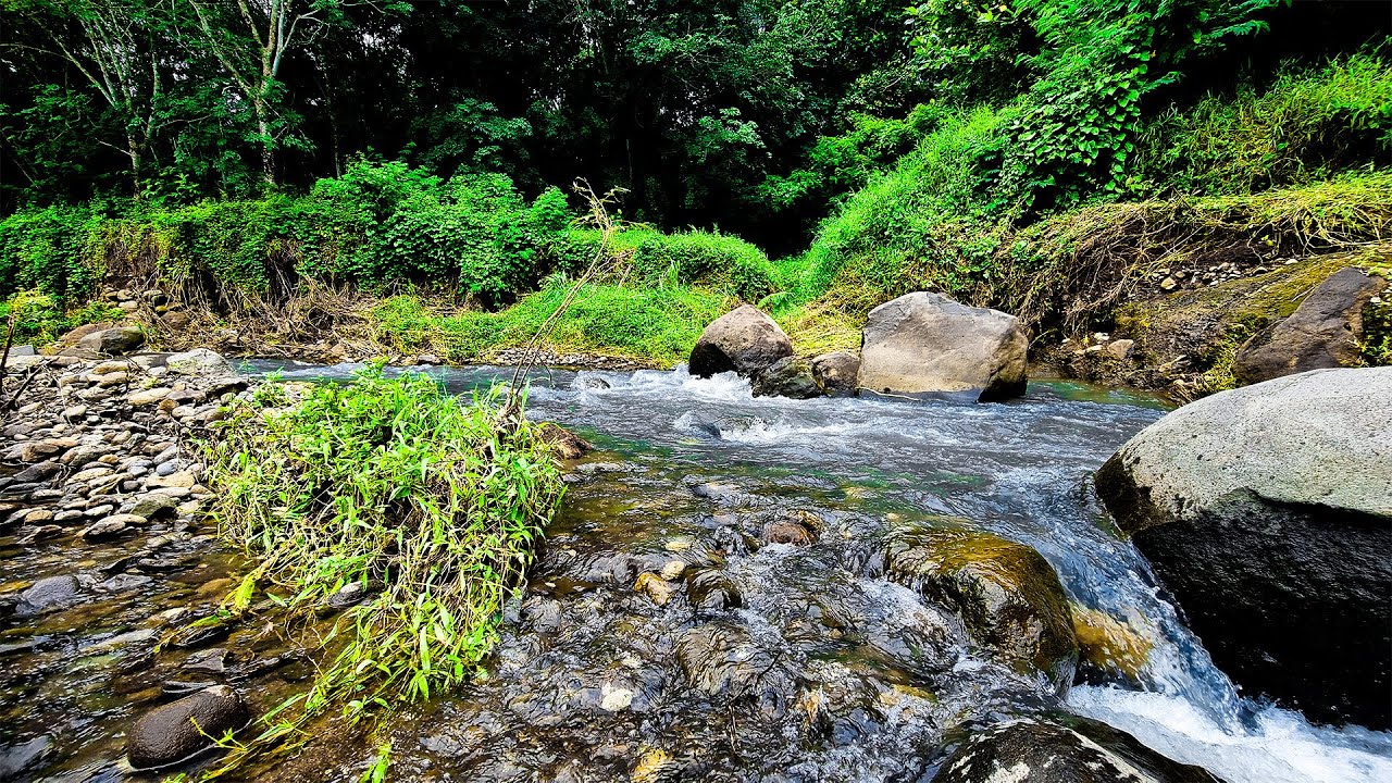 The relaxing babbling brook, Nothing more relaxing than the sound of a river