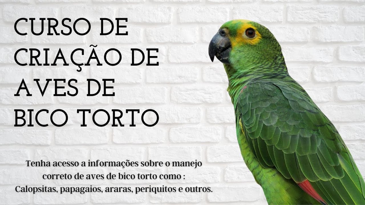 Curso Cria&ccedil;&atilde;o de Aves de Bico Torto