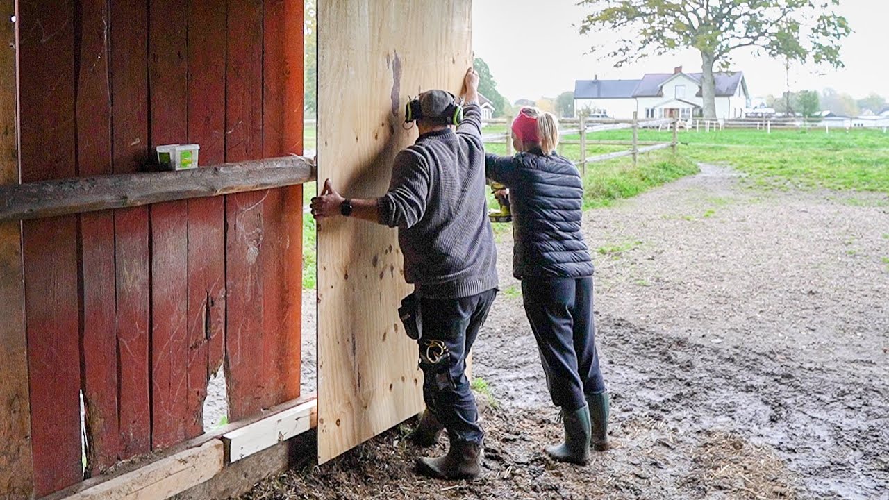 Lagar lösdriften till hästarna