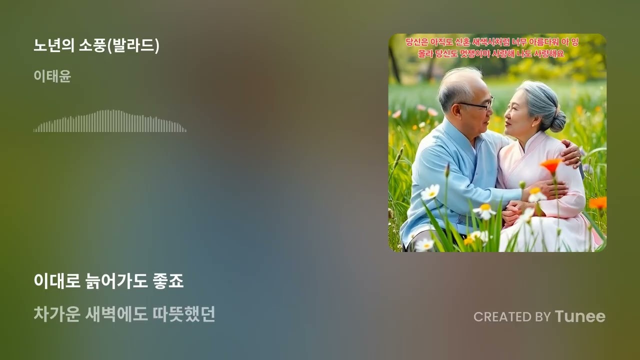 노년의 소풍