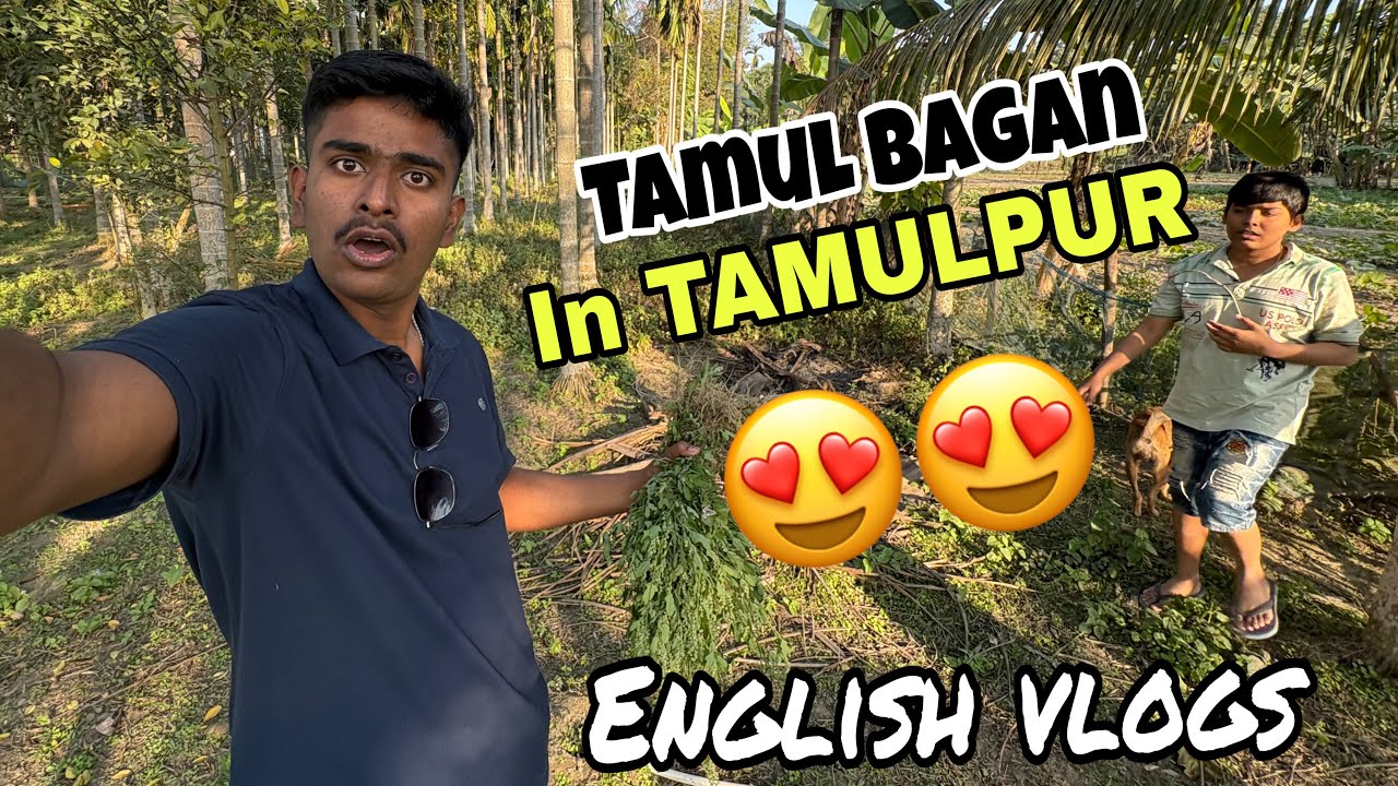 This our Tamul Garden ( betel Nut )… English vlogerrr