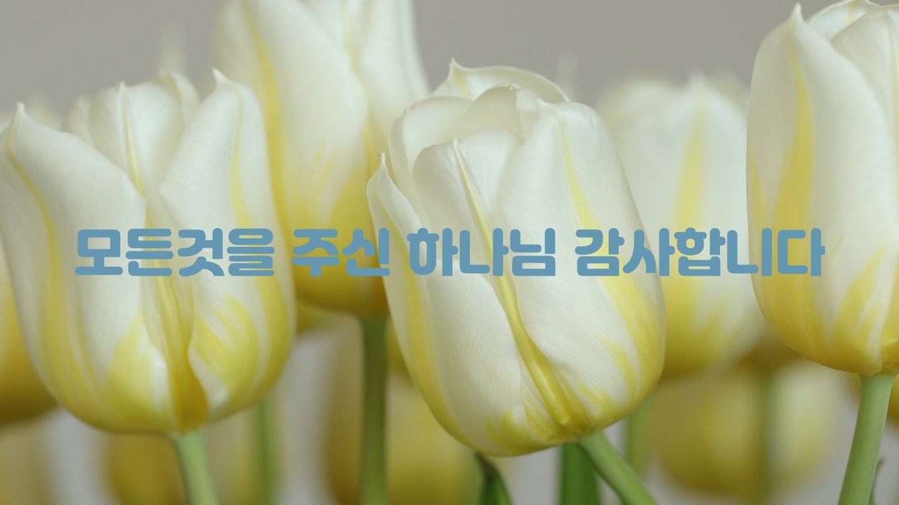 모든 것을 주신 하나님 감사합니다