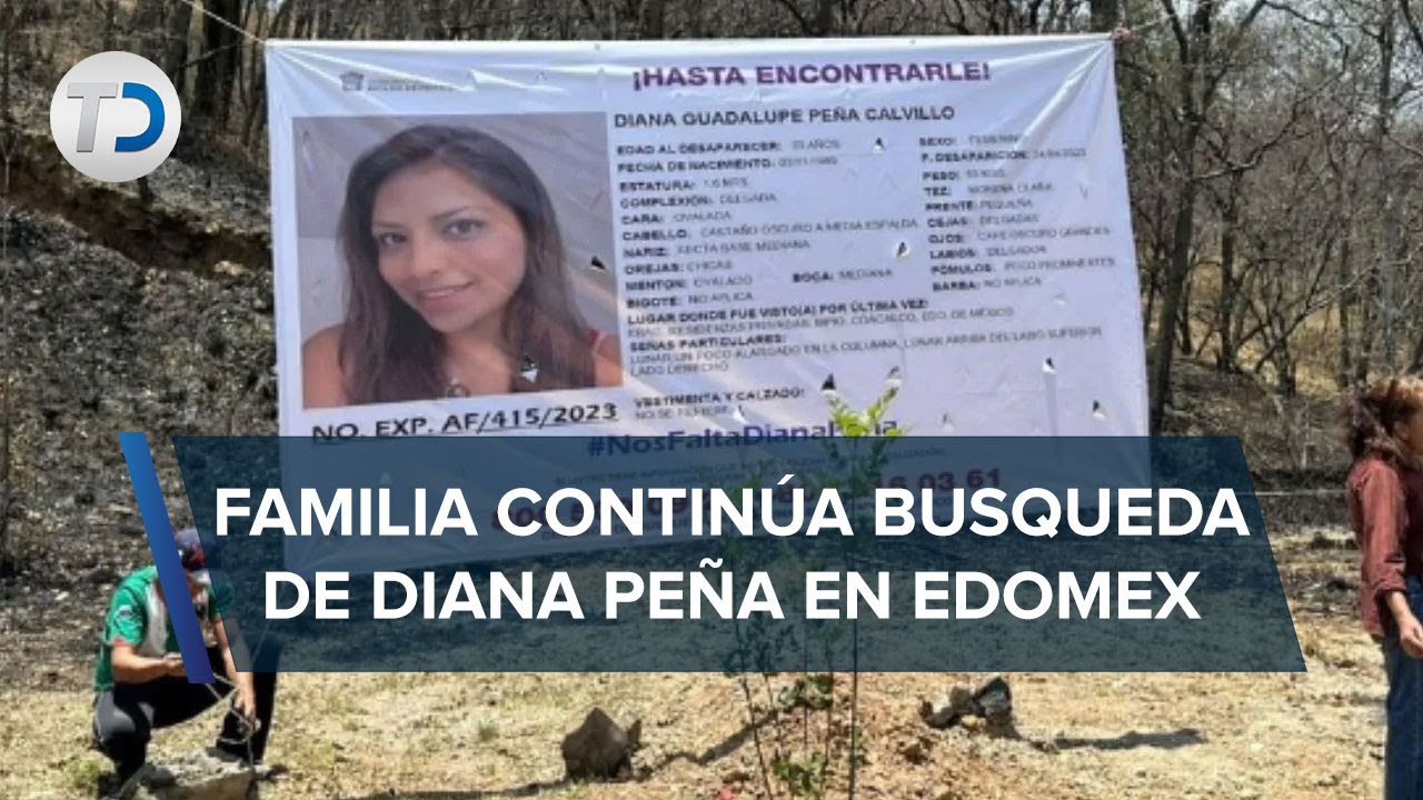Diana Peña iba de Edomex a CdMx para una entrevista de trabajo; no volvió a casa