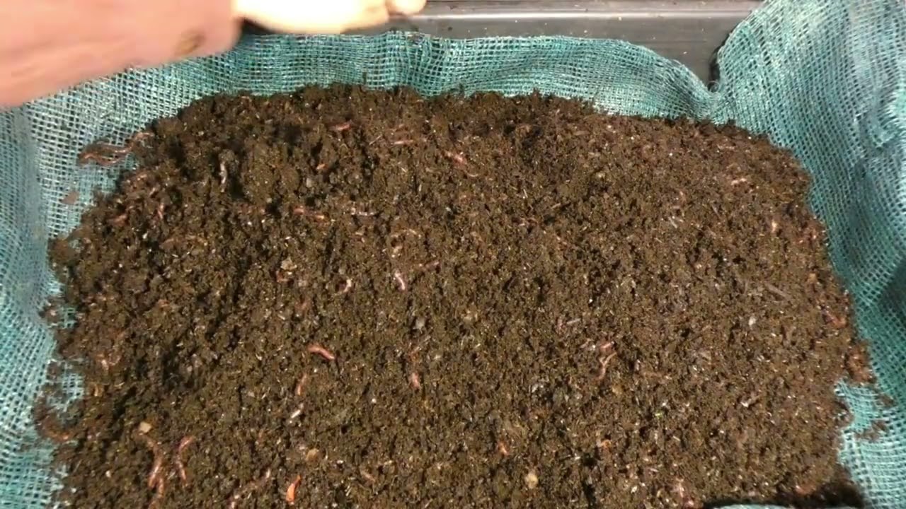 Worm Filter for Easy Vermicompost Harvest