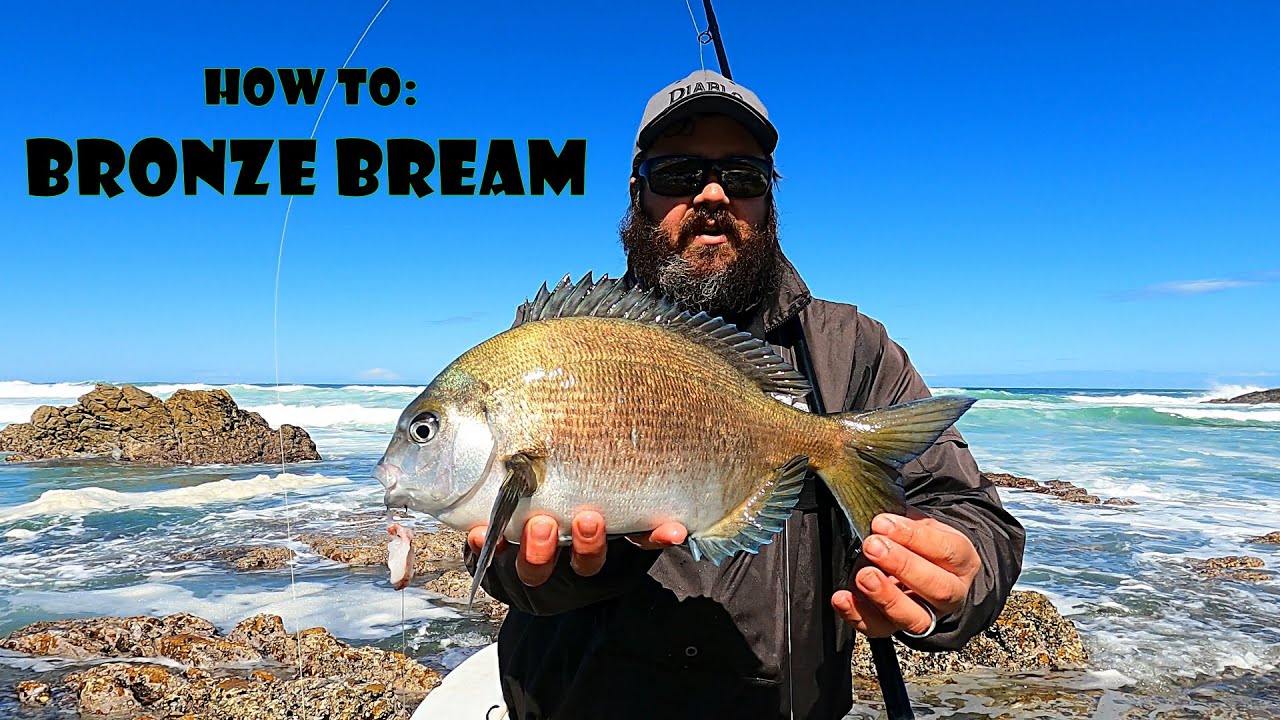 How to: Crayfish Bait for Bronze Bream Fishing