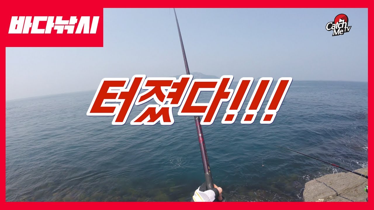 [4K] EP.1 - 검은가리 갯바위에서 장대낚시! 돌돔낚시 히트, イシダイ釣り