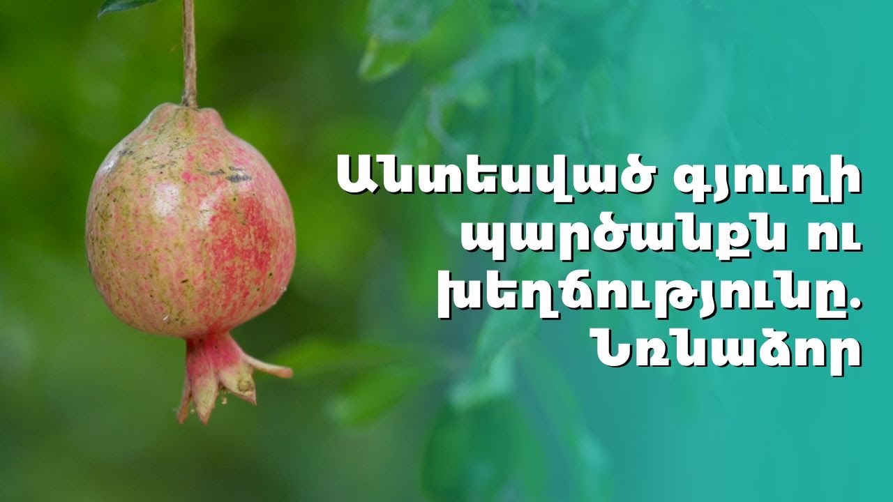 Անտեսված գյուղի պարծանքն ու խեղճությունը. Նռնաձոր