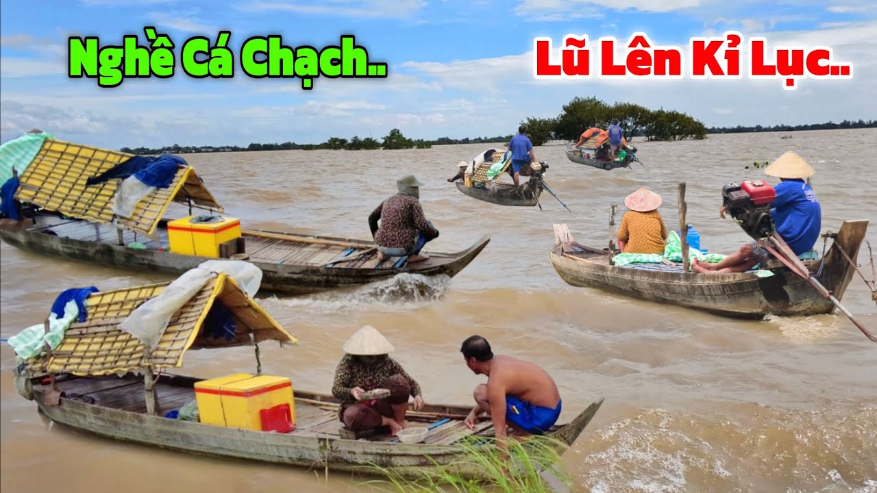 LŨ lên tràn bờ KỈ LỤC