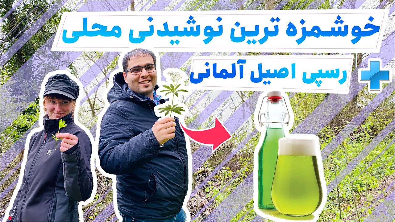 Waldmeister نحوه تشخیص گیاه زبرینه در جنگل 🌱 خوشمزه ترین شربتی که تو زندگیم خوردم