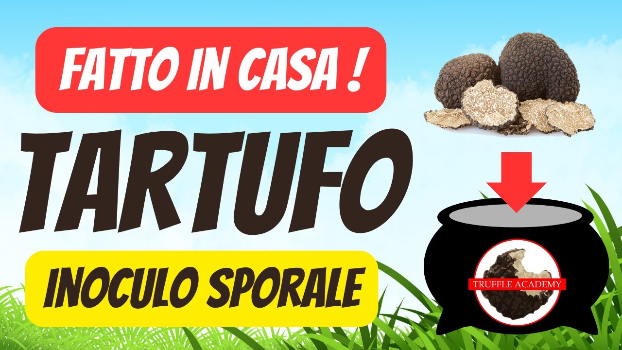 FATTO IN CASA! Inoculo sporale di TARTUFO nero estivo. PARTE #1