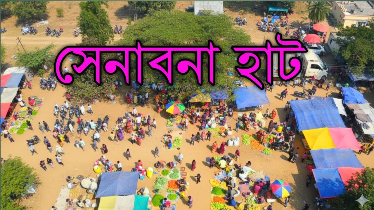 সেনাবনা_হাট/ রবিবারের_হাট/পুরুলিয়া_জেলার_সেনাবনা_হাট #হাট 