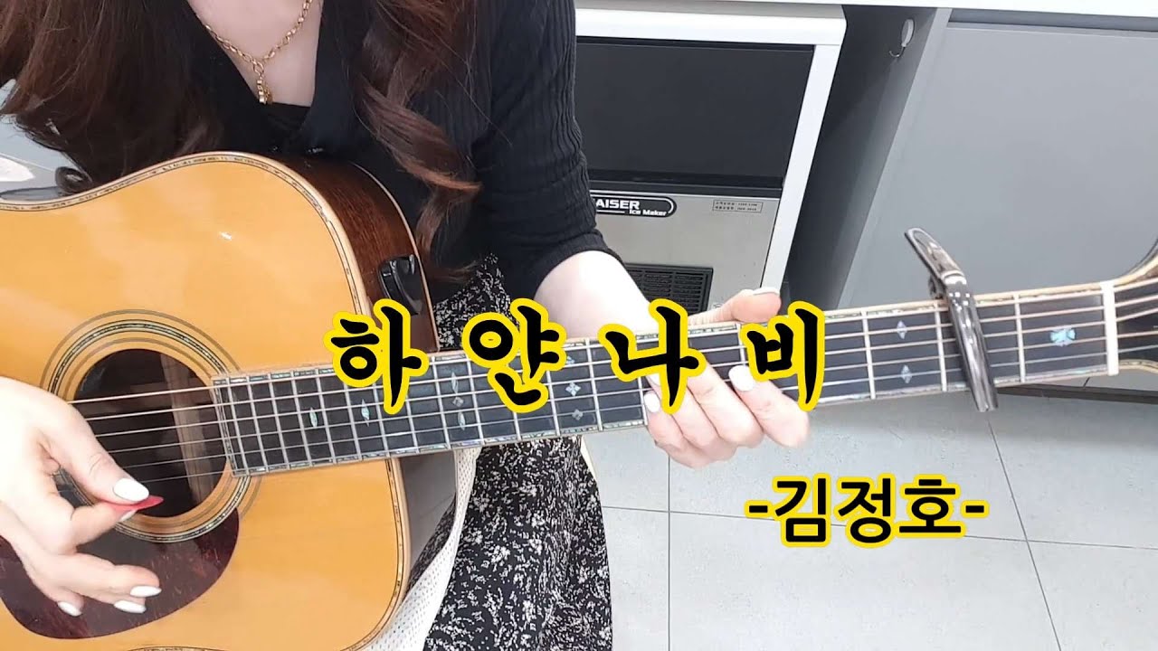 하얀나비 -김정호-