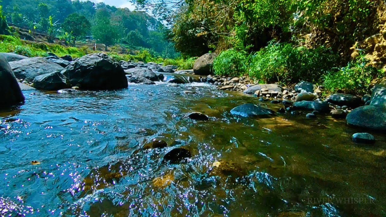 RELAXING SOUNDS FOR SLEEPING | BEAUTIFUL STREAM AND FOREST RIVER FOR DEEP SLEEP & RELAXATION #b58