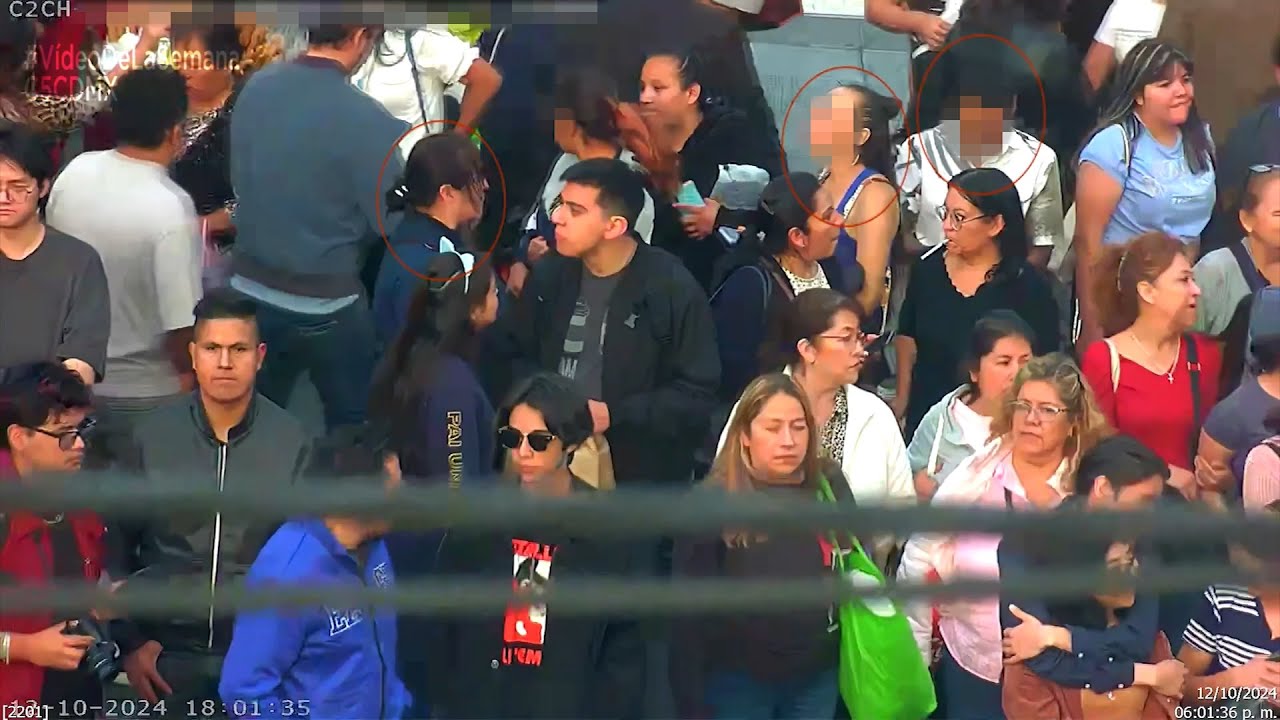 Casos Relevantes de la semana del 14 al 20 de octubre - C5 CDMX #VideoDeLaSemana