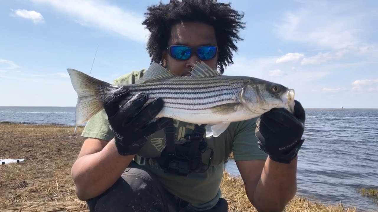 Fishing the Great Egg Harbor Bay on the hunt for Striped Bass!