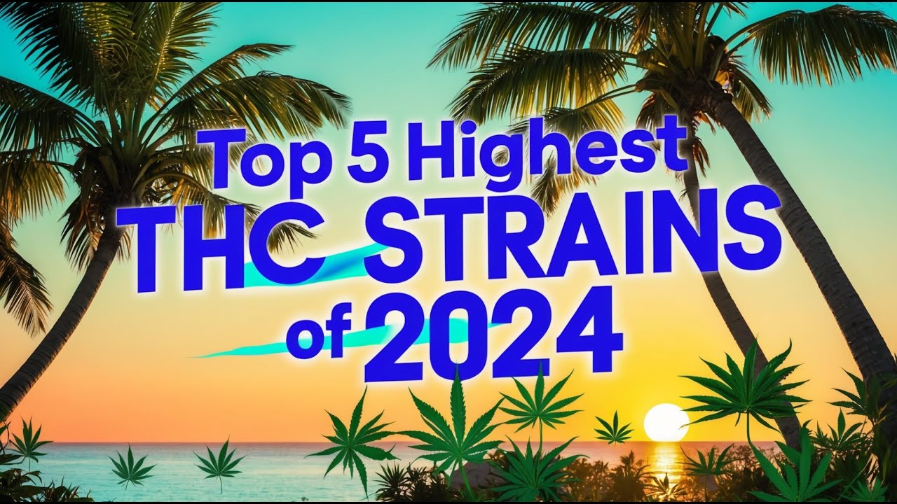 Top 5 Highest THC Strains of 2024!