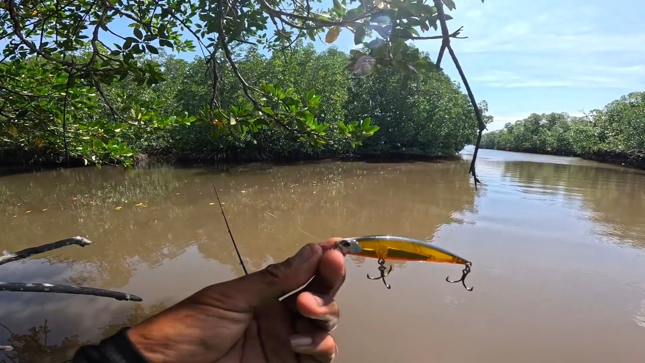 Dumagsa Ang Malalaking Isda Pagkatapos Ng Baha !