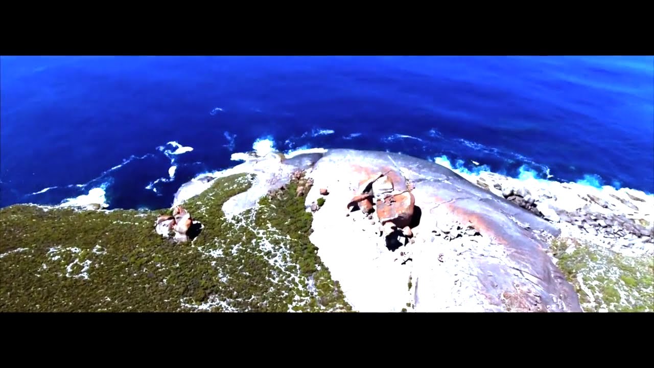 C.O.F.F.I.N - White Dog (Official Video)