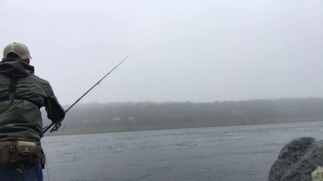 Striper Blitz trailer
