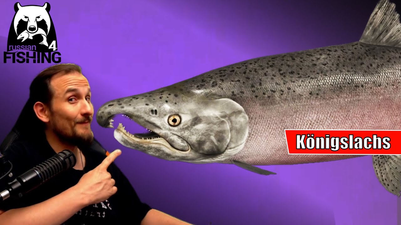 Russian Fishing 4 - Jama - Blinker Test! Königslachs
