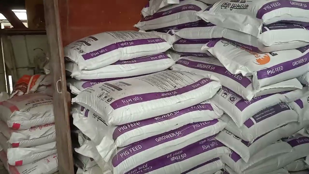 Pig Feeds When the Prices are very High