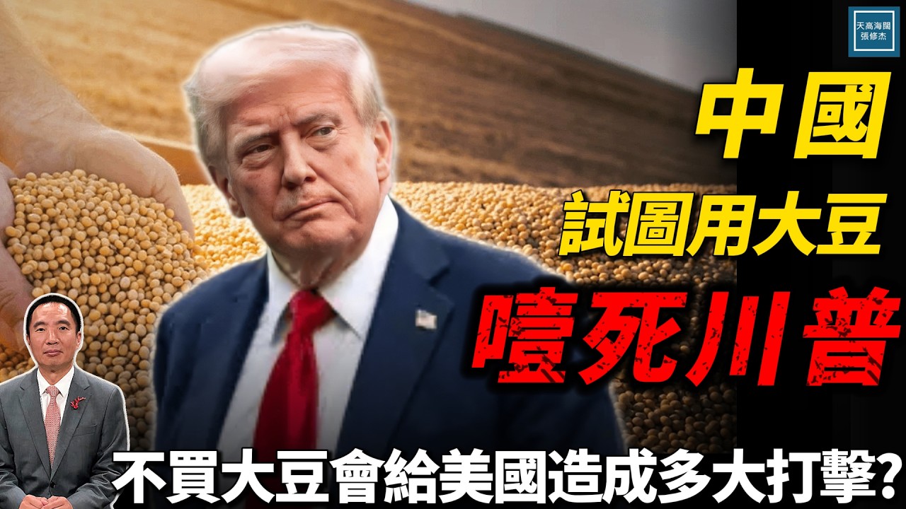 中國試圖用大豆噎死川普，不買大豆會給美國造成多大打擊？｜天高海闊 20251016｜Donald Trump｜國際時事｜特朗普｜美中關係｜俄烏戰爭｜