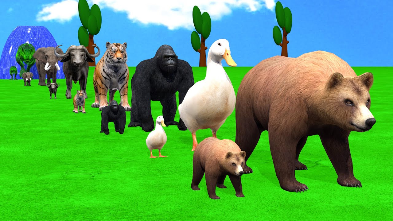Long Slide Game With Cow Elephant Gorilla Hippopotamus Tiger - 3d Animal Game - Funny 3d Animals