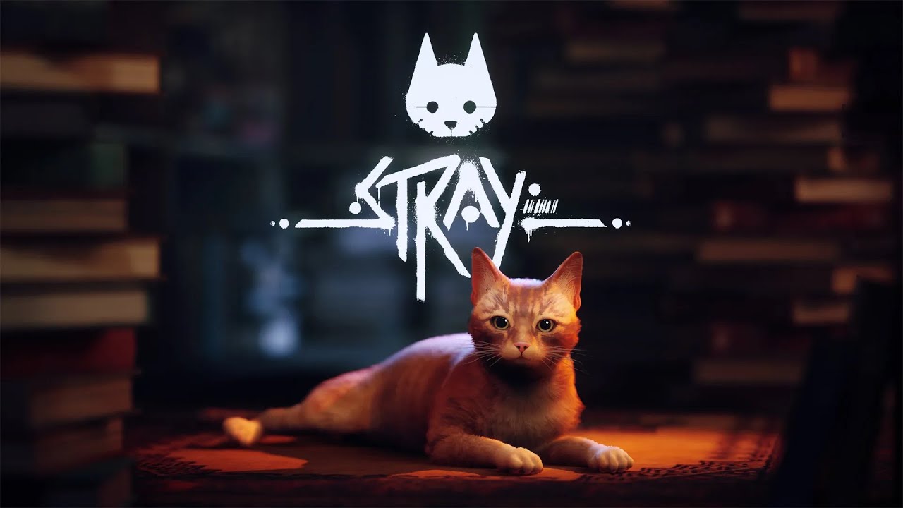Let's Play Stray: Part 4 - Die Slums Teil I