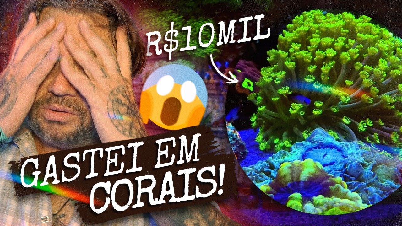 GASTEI R$10.000 EM CORAIS PARA O MEU AQUÁRIO MARINHO! | A CASA DOS BICHOS