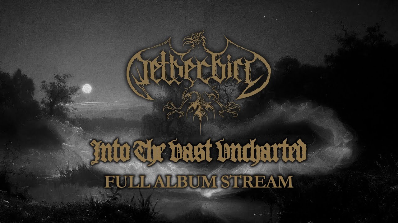 NETHERBIRD - Into The Vast Uncharted (Full Album)