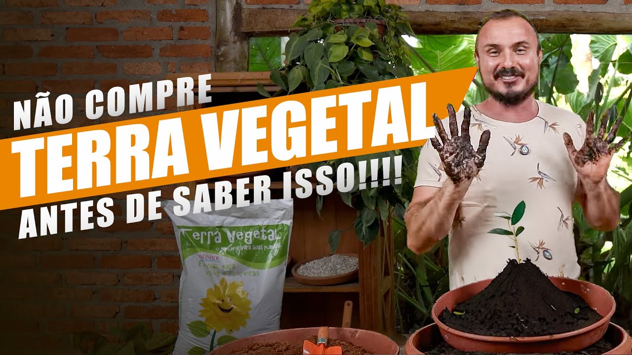 TERRA VEGETAL: Qual a melhor para CULTIVAR suas PLANTAS