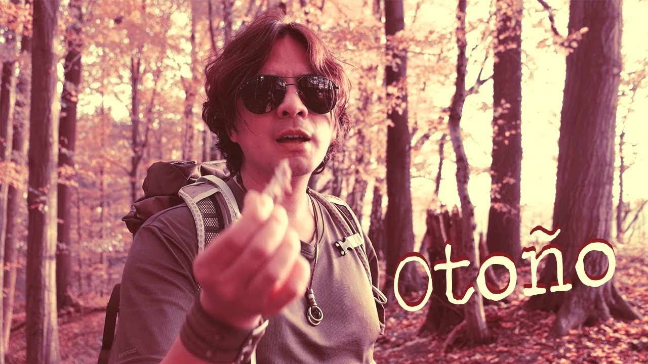 SECRETOS INSTAGRAM: FOTOGRAFÍAS DE OTOÑO MOCHILERO EN EL BOSQUE