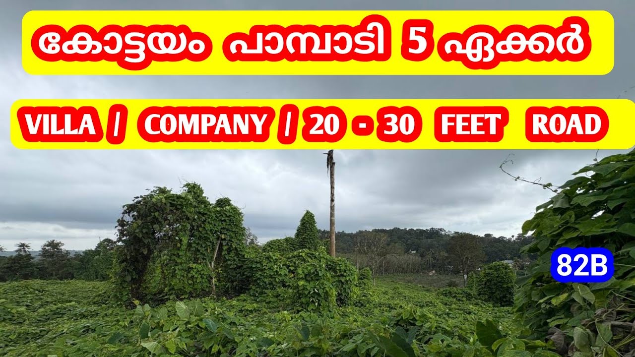 5 ഏക്കർ📍30 FEET ROAD FRONTAGE 👌✅ Company  / Villa Projects‌ക്കായി പെർഫക്ട് 🤩📍പാമ്പാടി, കോട്ടയം 82B