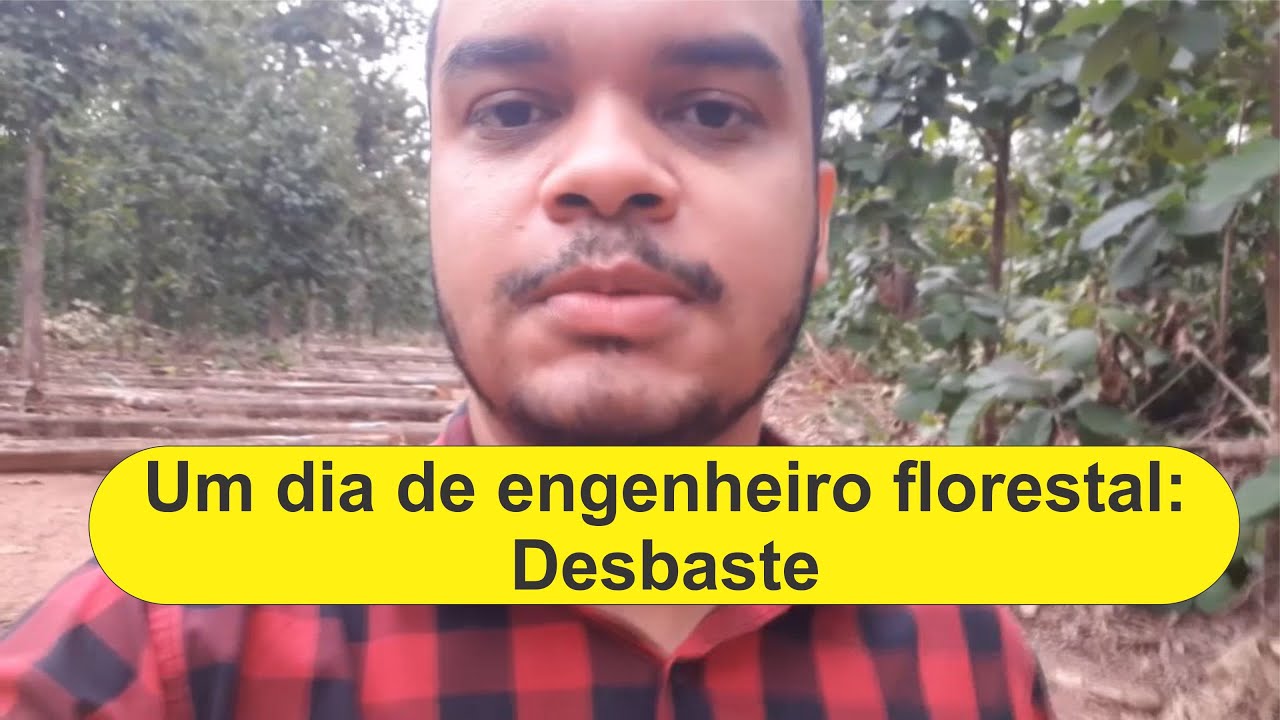 Um dia de engenheiro florestal - Desbaste